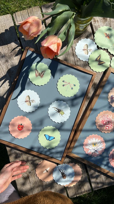 Coasters 10 motiver insekter - 12 sæt