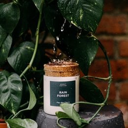 A tall, round scented candle in a glass jar with a cork lid. The label on the jar reads "Rain Forest" and indicates it is a 320 gram candle with a burn time of 60-80 hours.
