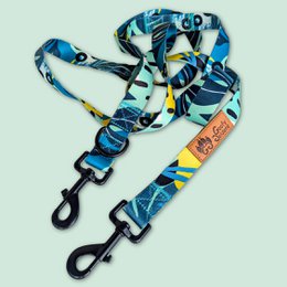 Multi-position reef leash