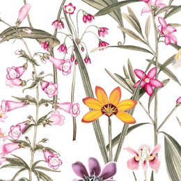 Selbstklebende Bordüre „Botanical Garden” Mehrfarbig auf Weiss