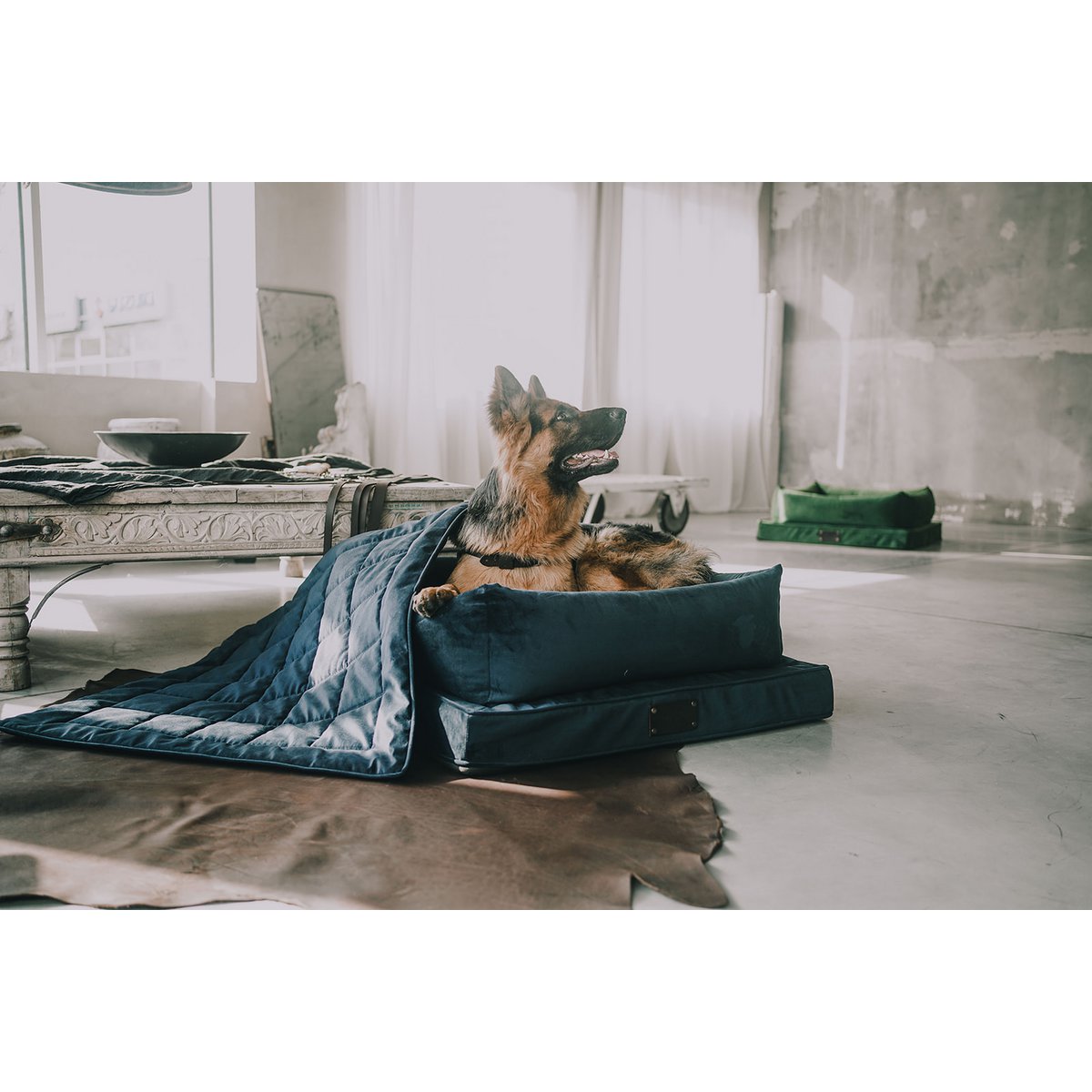 Capper, a dog and a cat for a dog and a cat from the Fluffy Puppy brand, Velour material, 16 colors, hand made!