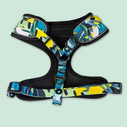 Classic Reef Harness