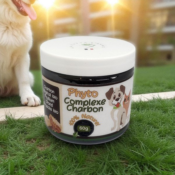 Complejo de carbón de phyto