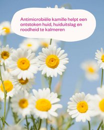 Kamille & probiotika - Beroligende kamilletoner