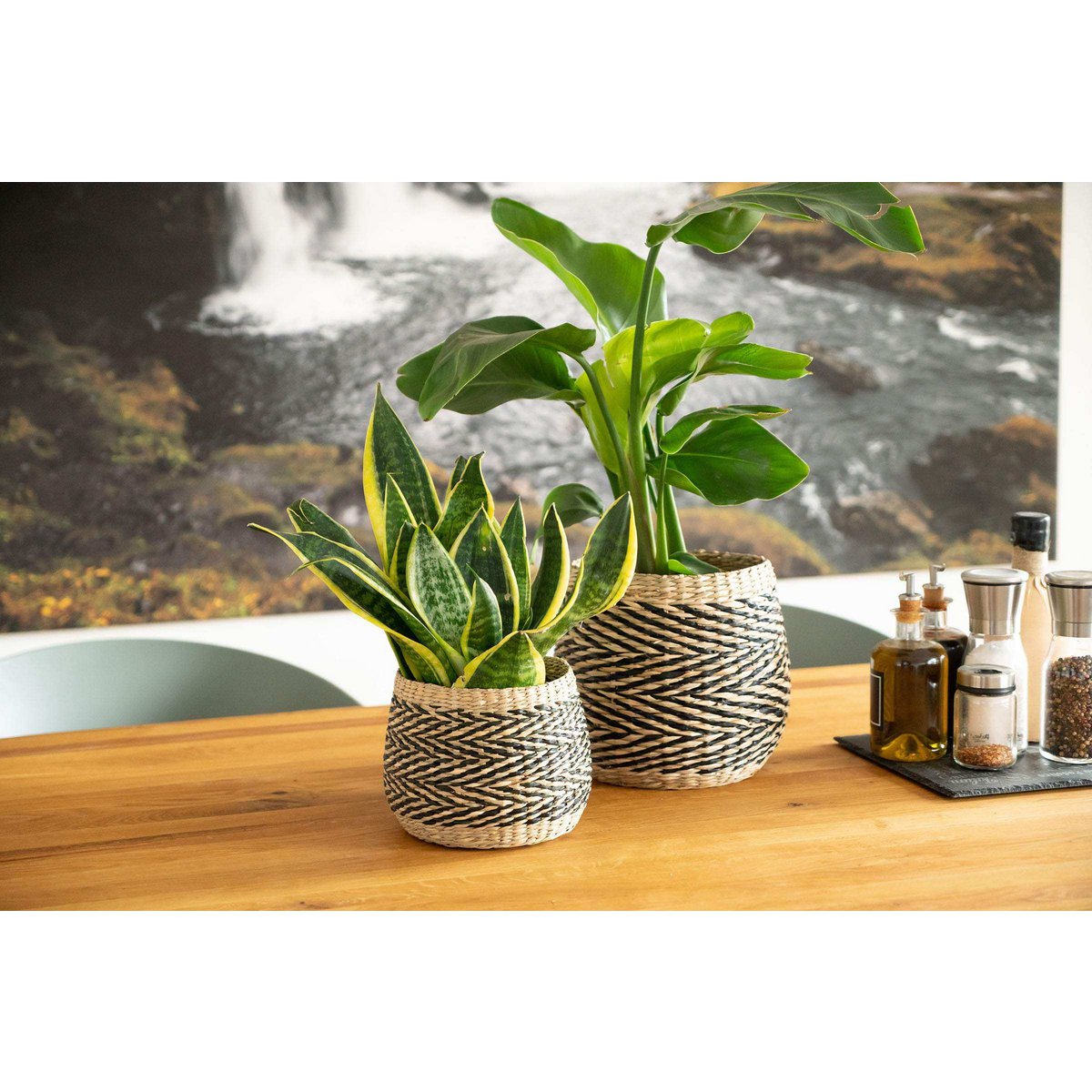 Plaid Overtopf par l'herbe de mer: panier décoratif