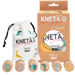 Dinosaur stamp set with wooden stamps, colorful dino designs, craft activity set for kids.