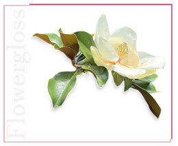 Flowergloss FG01 Magnolie | aus Obst und Gemüse ohne Titandioxid “NEW”