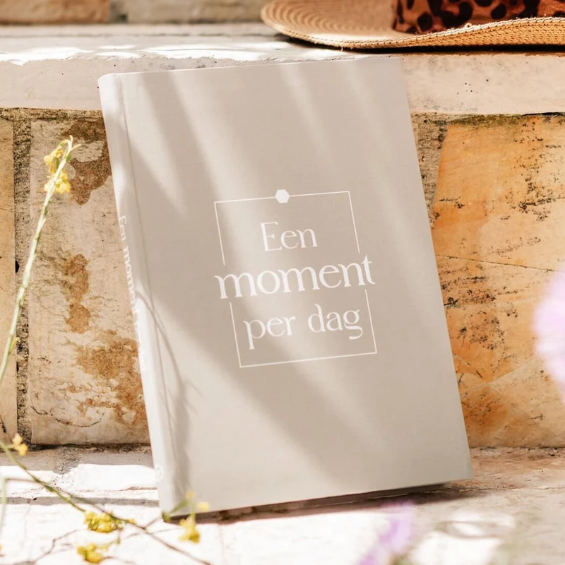 Fyllbooks Ein Tagebuch für einen Moment am Tag – Taupe