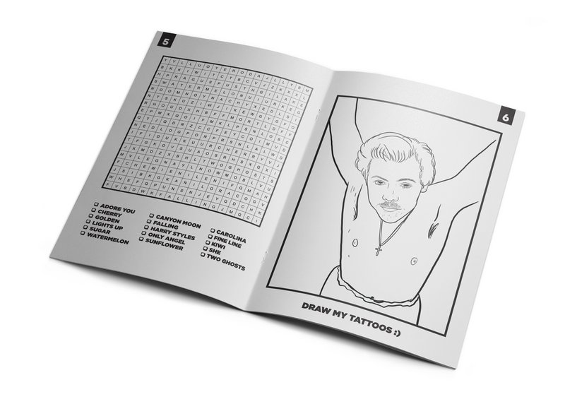 Harry Activiteitenboek