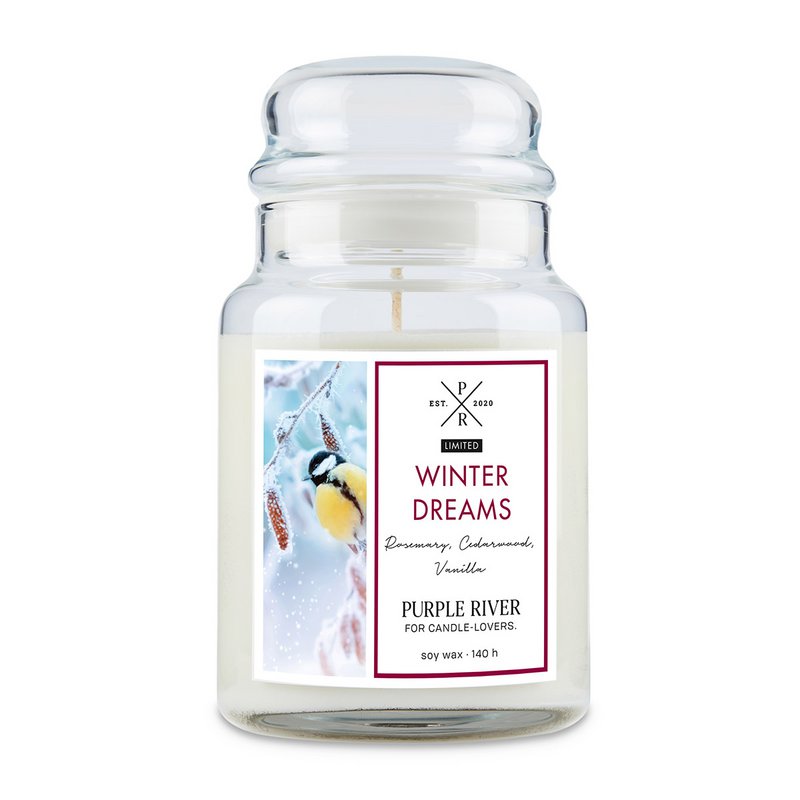 Duftlys Winter Dreams - 623g