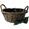 Planter basket  w/ handles & plastic lining  Aloe vera