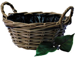 Cesta macetero ALOE VERA con asas y forro de plástico