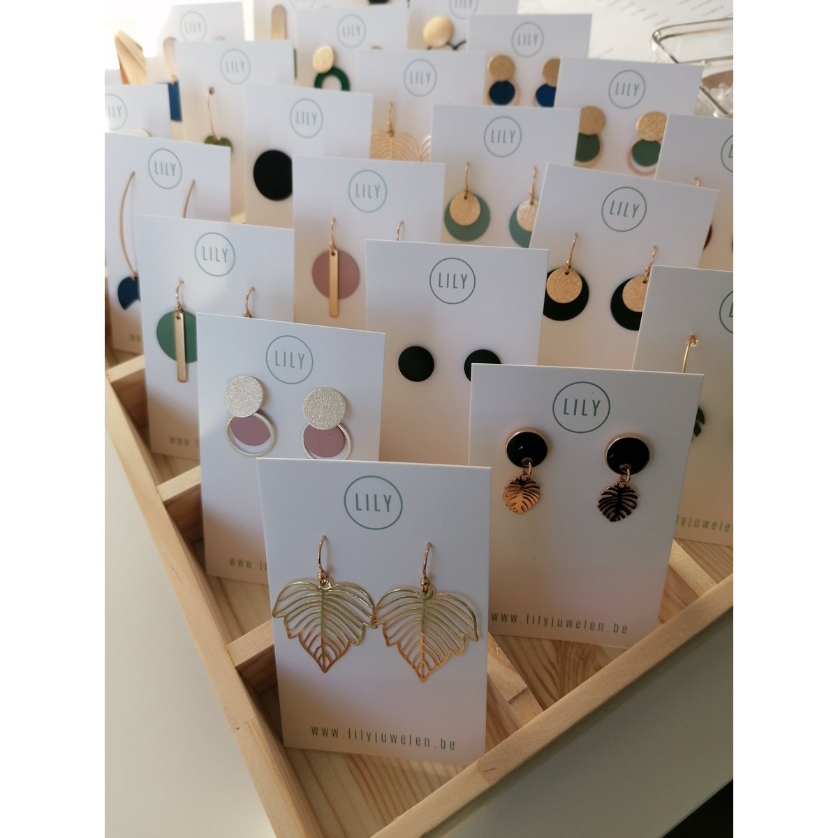Display earrings