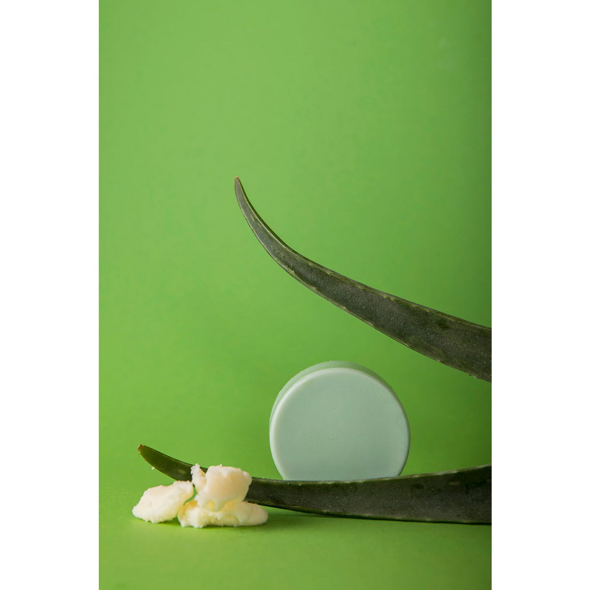 Aloe Vera Love Conditioner Bar