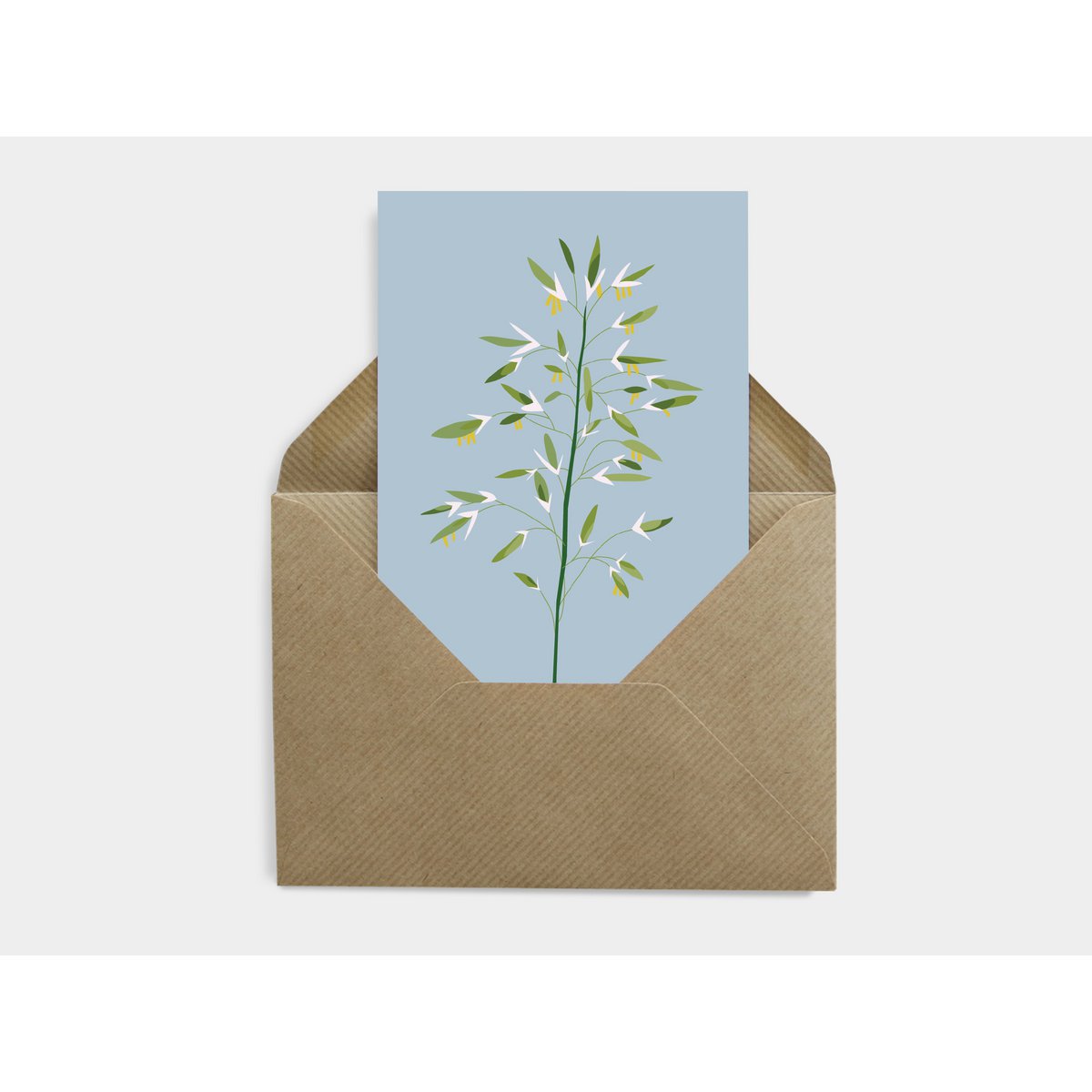 Carte Postale Botanique - Bromus