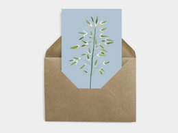 Carte Postale Botanique - Bromus