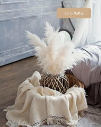 Erba di pampa grande beige 120 cm