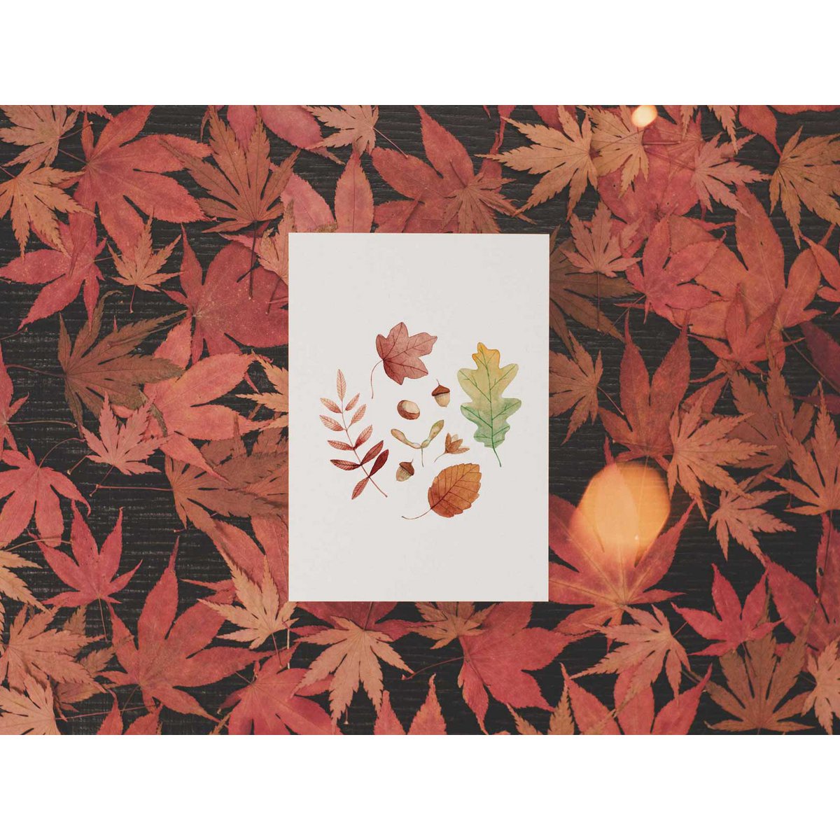Hallo herfst | ansichtkaart