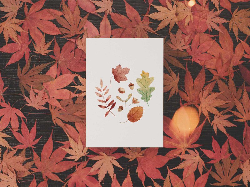 Hallo herfst | ansichtkaart