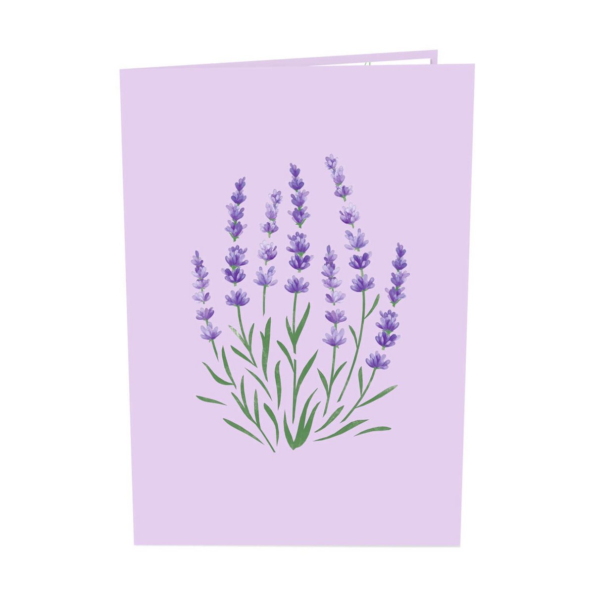 Tarjeta emergente lavanda