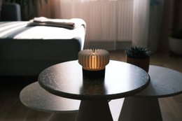 Luce portatile ricci