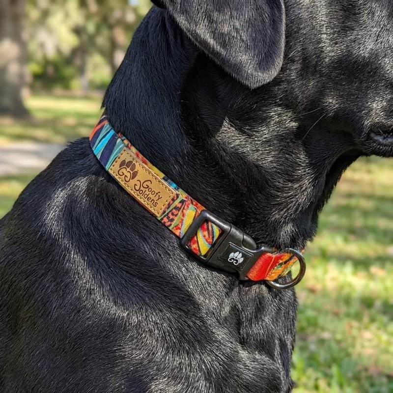 Collare per cani tropicale