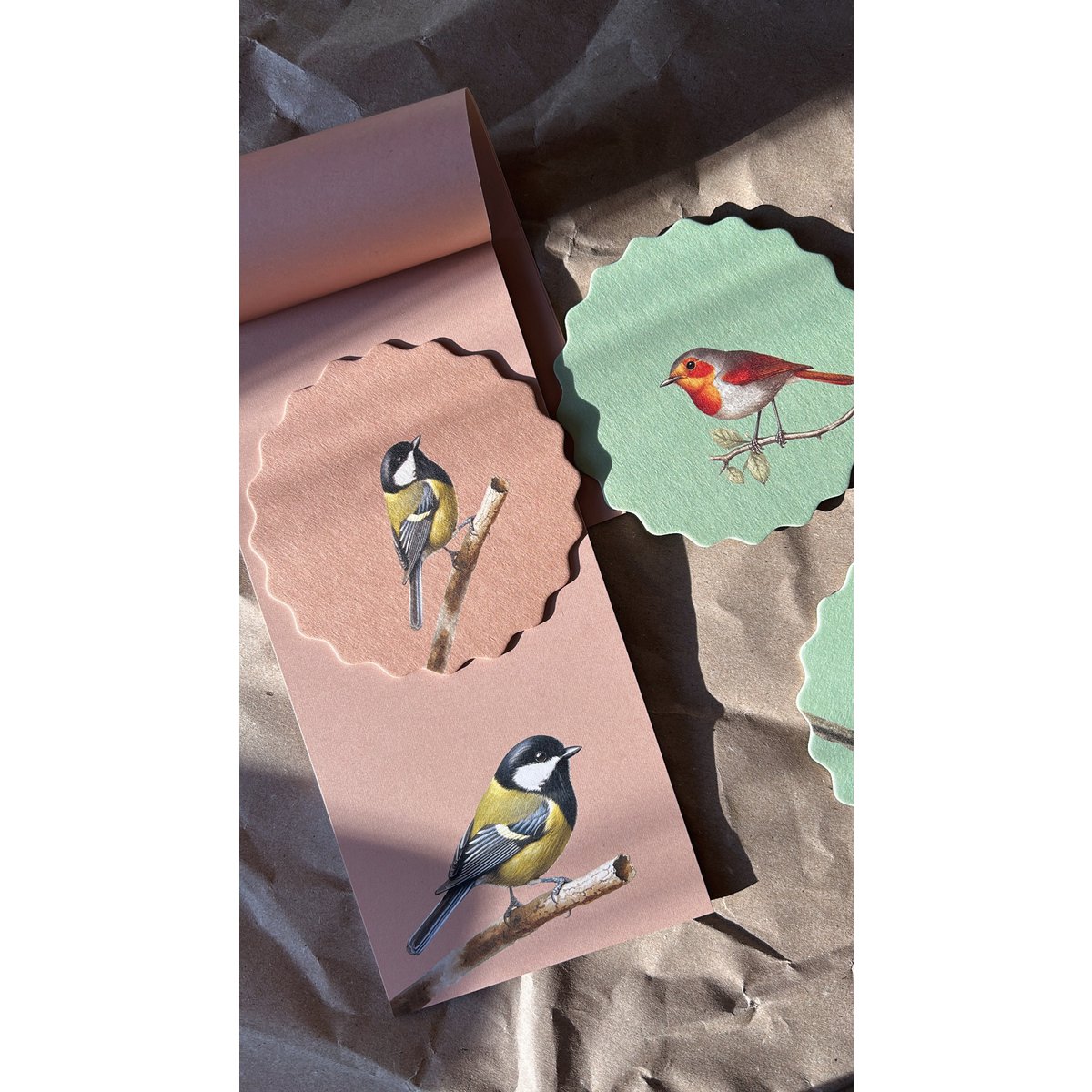 Posavasos/Posavasos 10 motivos pájaros - 12 juegos