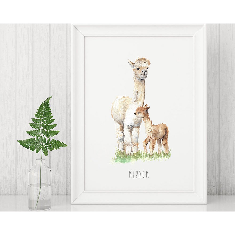 Estampado Infantil Alpaca Acuarela