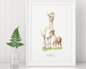 Aquarell Alpaka Kinderdruck