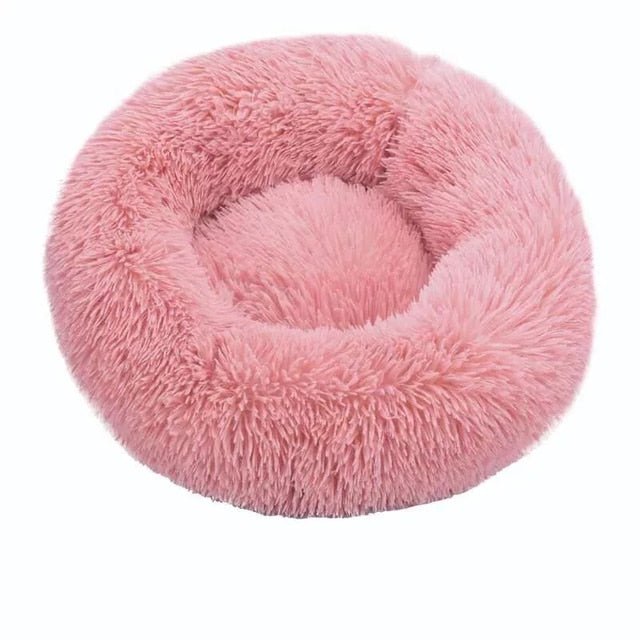 Bed cushion pets