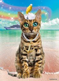 Affiche Catsailor, 5 pièces