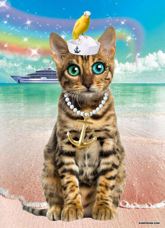 Plakat Catsailor, 5 sztuk