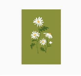A6 Ansichtkaart || Madeliefje || Bloem 