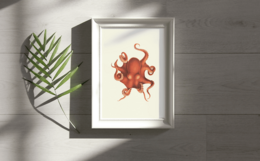 Pulpo