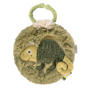 Soft book chameleon