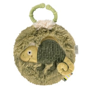 Soft book chameleon