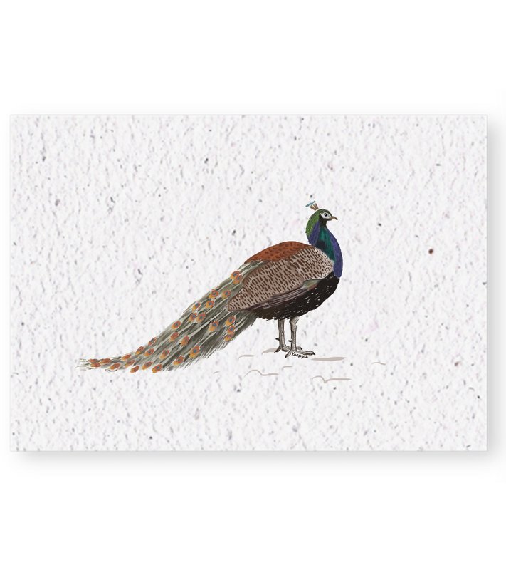 Growth chart Peacock