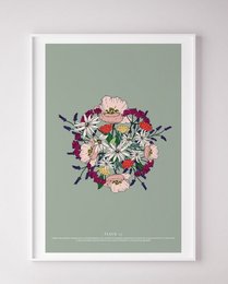 A vibrant floral bouquet featuring a variety of colorful blooms including roses, peonies, and other flowers arranged in a circular composition against a sage green background.