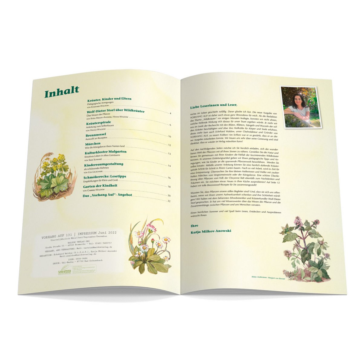 Magazine pour enfants Waldorf - CURTAIN ON Numéro 131 Herbes sauvages, herbes médicinales