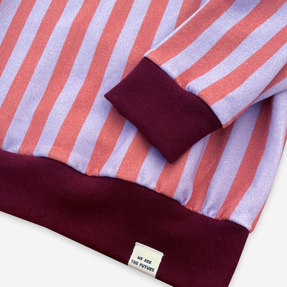 Sudadera rayas AW23/24