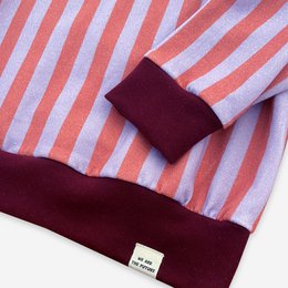 Sudadera rayas AW23/24