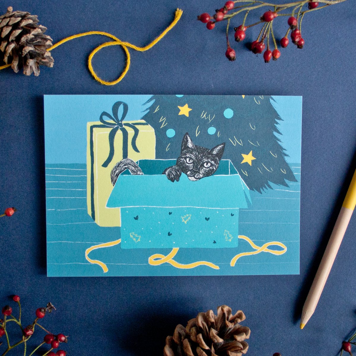 Christmas card cat in a box