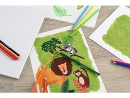 Colored pencil EFA 17.5cm cardboard case of 12 pcs. ass.kl wood-free