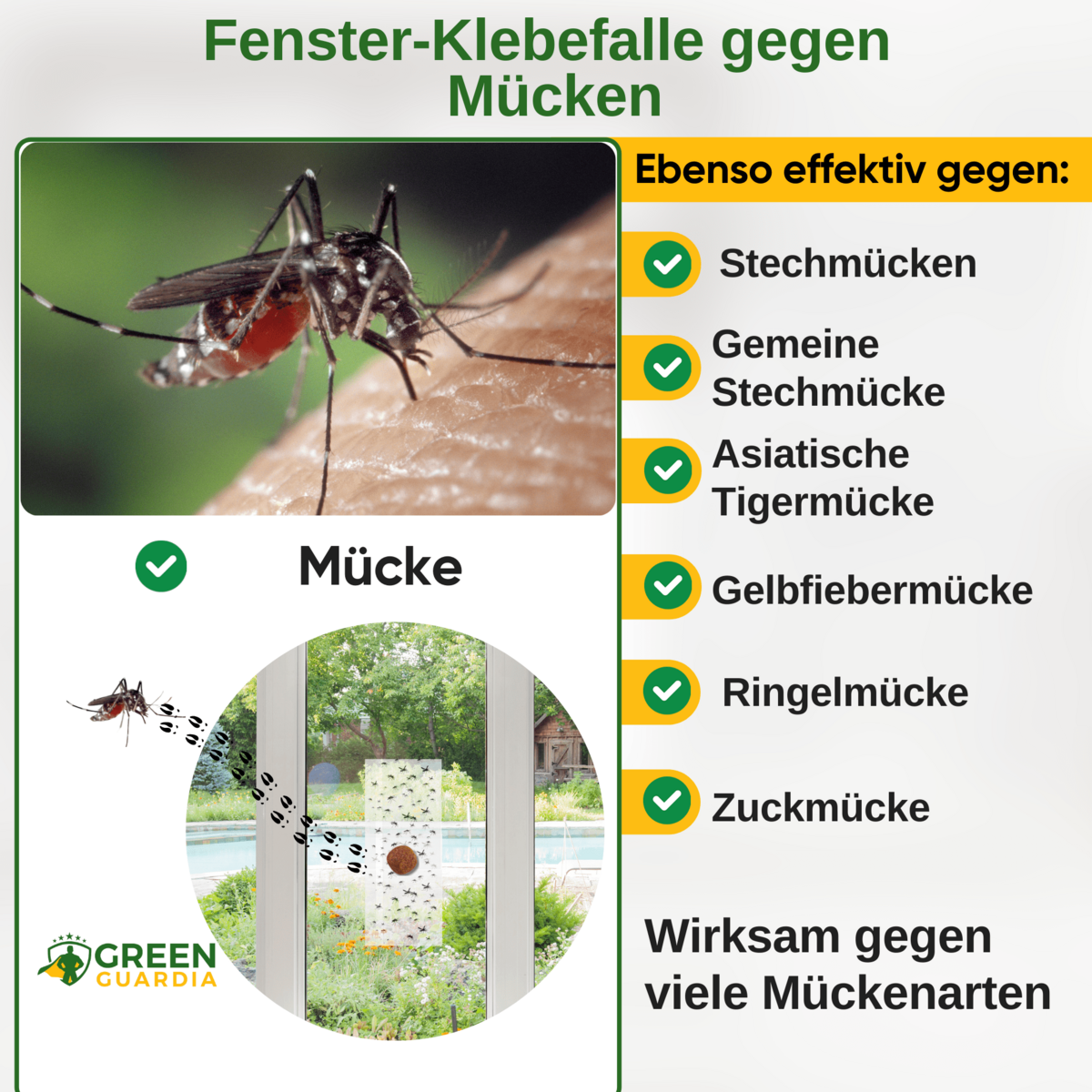 Muggenval voor raam