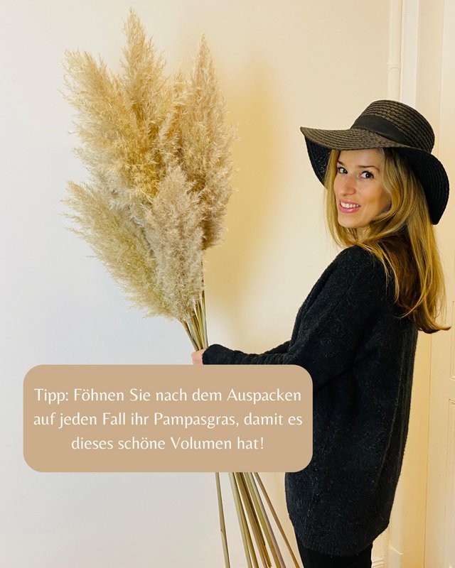 Pampas græs stor beige 120 cm