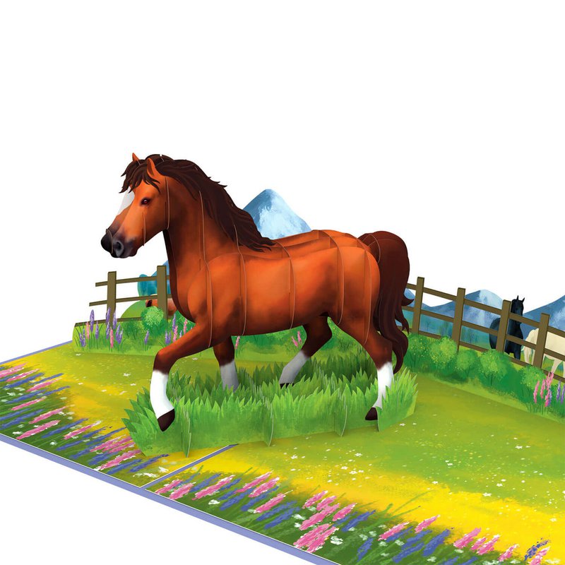 Biglietto pop-up con cavallo