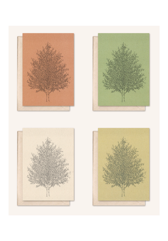 Carta sostenibile + busta | Albero d'ambra | rosmarino