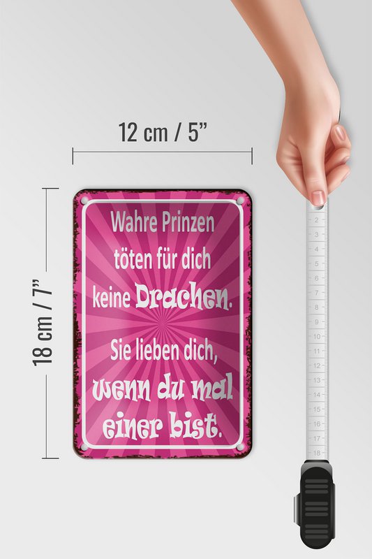Blechschild Spruch 12x18cm wahre Prinzen töten keine Dekoration