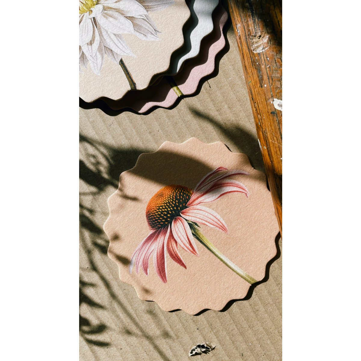 Sous-verres 10 motifs fleurs - 12 sets