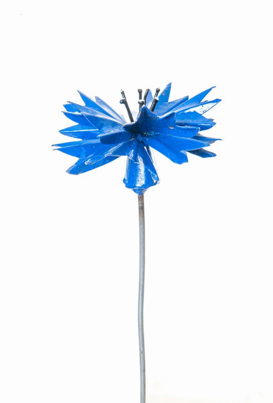 Zimba-Arts METAL BLEUET